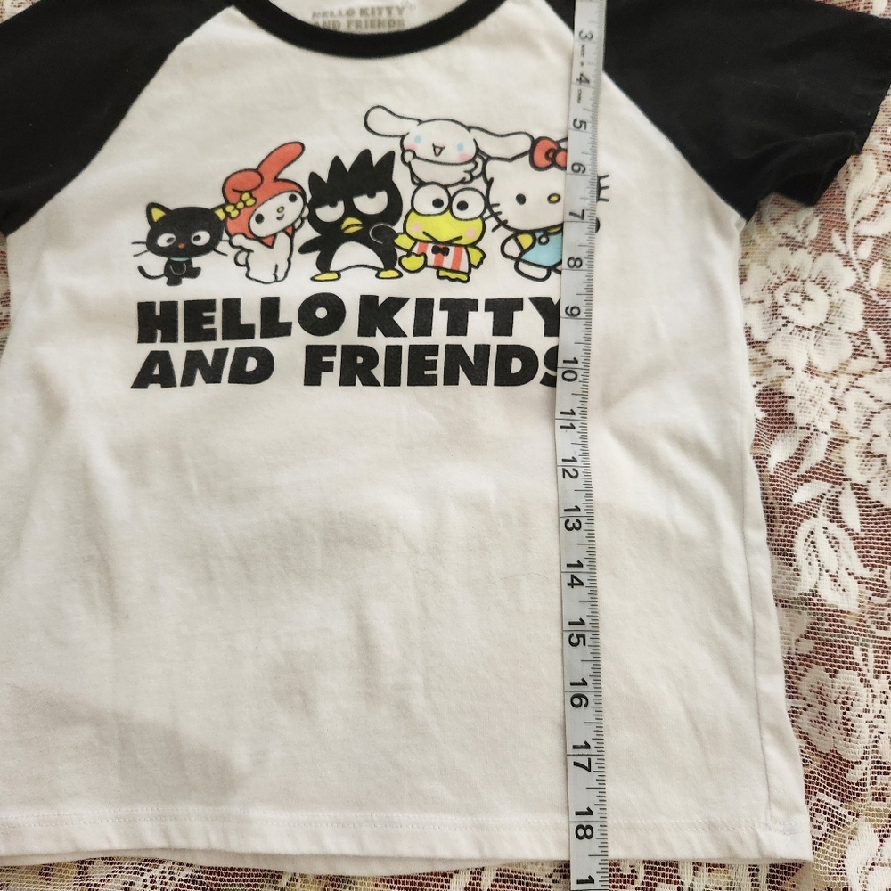 🔥 Hello Kitty Sanrio Black & White Kids Tee Size XL - Picture 5 of 5